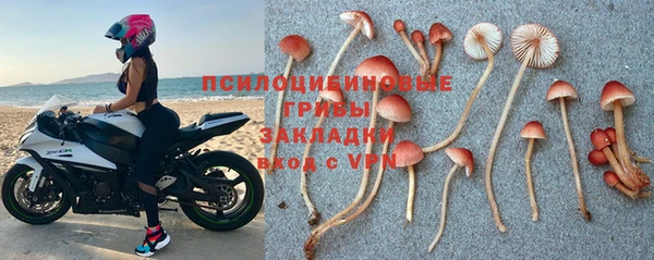 амф Семёнов