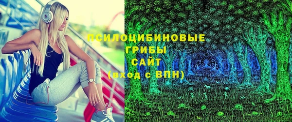 бошки Семилуки