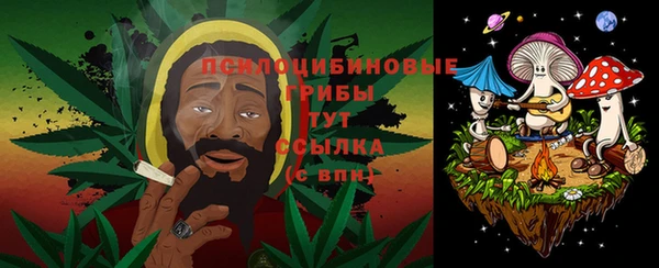 бошки Семилуки